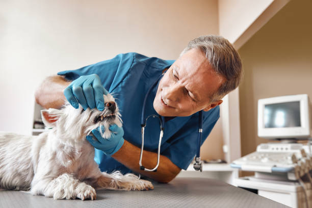 Best Emergency Treatment for Dental Infections or Abscesses in Isle Of Hope, GA